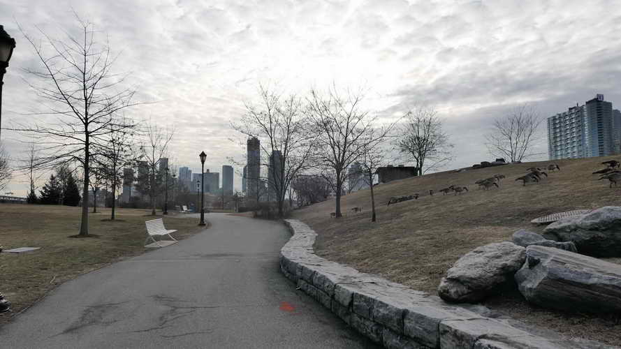 NYC_2020-01-27 08-42-54_P1070844